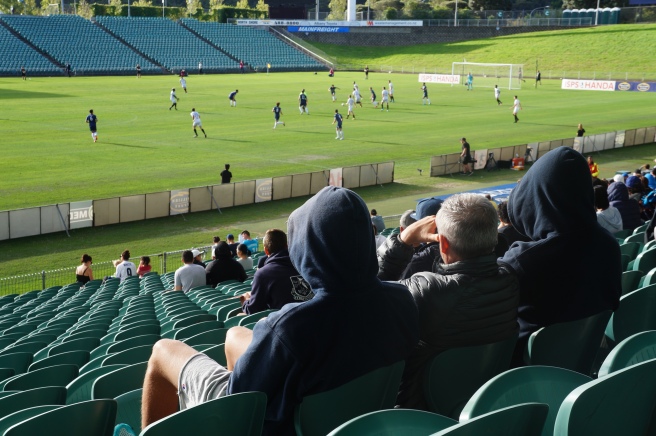 Auckland City Team Wellington fans